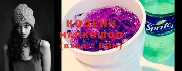 крисы Абаза
