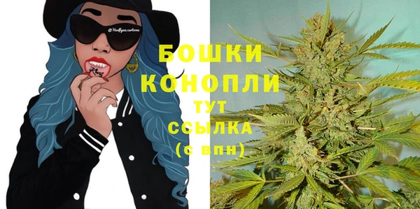крисы Абаза
