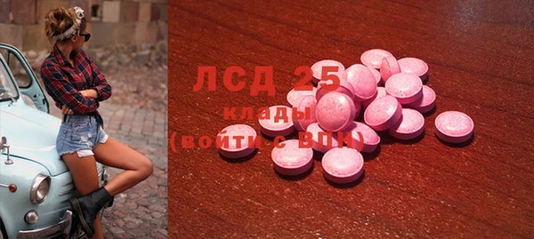 крисы Абаза